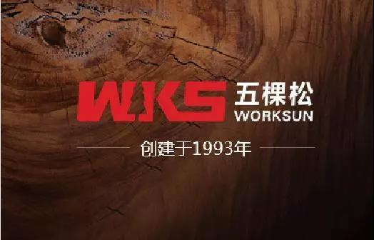 加拿大28集团助力沧州新地标---京贵大厦